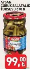 AYSAN ÇUBUK SALATALIK TURŞUSU 670 G fiyat ve kampanya bilgisi